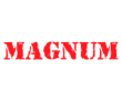 Логотип Magnum