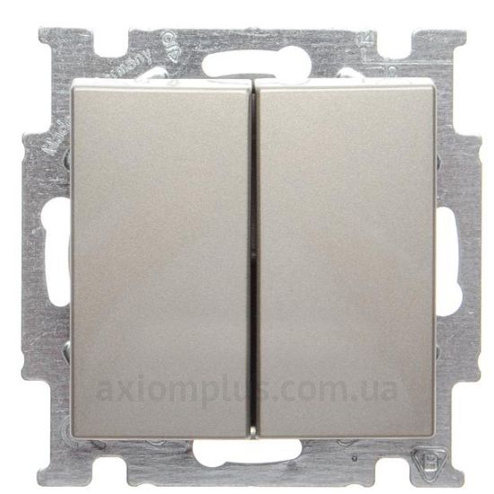 Зображення ABB серії Basic 55 2006/5 UC-93-507 кольору шампані