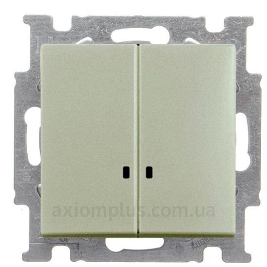 Фото ABB серії Basic 55 2006/5 UCGL-93-507 кольору шампані
