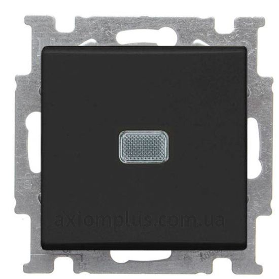 Фото ABB серии Basic 55 2006/1 UCGL-95-507 черного цвета