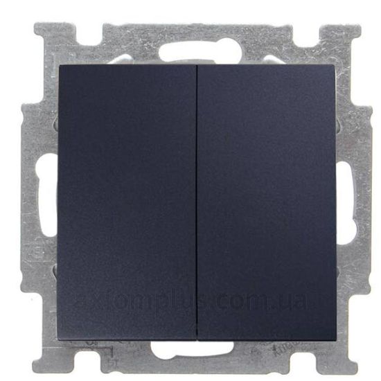 Зображення ABB серії Basic 55 2006/5 UC-95-507 чорного кольору