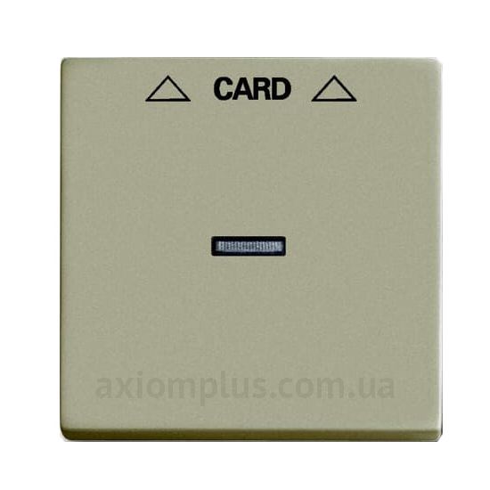 Зображення ABB з серії Basic 55 1792-93-507 кольору шампані