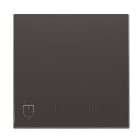 Изображение ABB серии Sky 8588.1 NS черного цвета