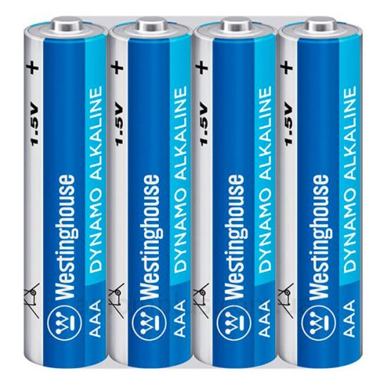 Фото Westinghouse LR03-BP4