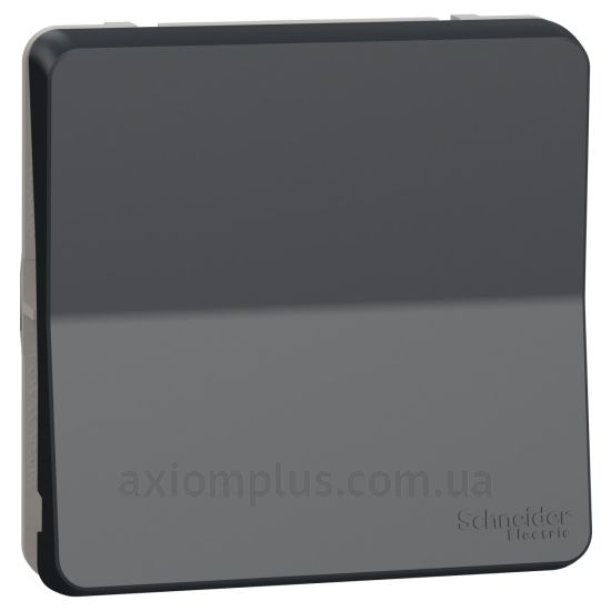 Фото Schneider Electric серії Mureva Styl MUR35027 чорного кольору
