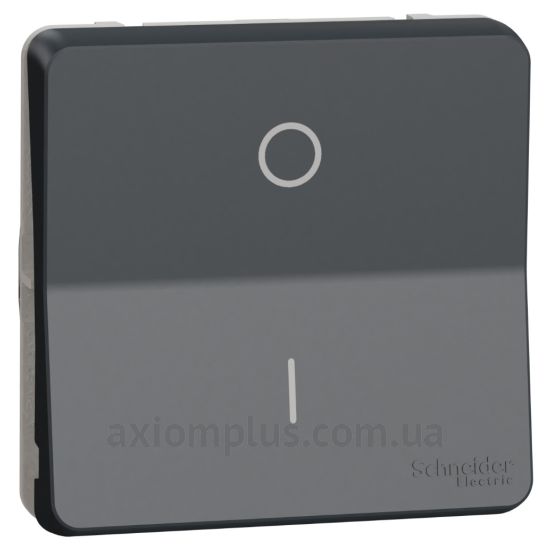 Фото Schneider Electric из серии Mureva Styl MUR35034 черного цвета