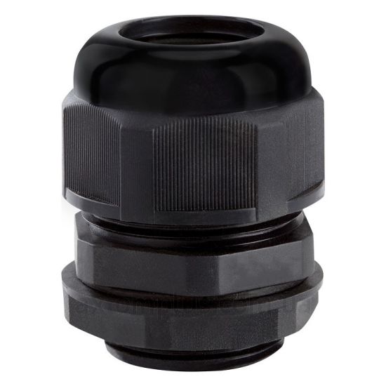 Фото сальника TNSy M30
