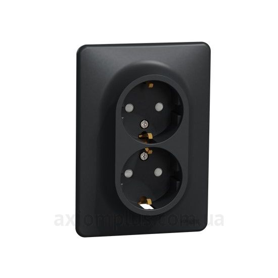 Изображение Schneider Electric серии Sedna Design SDD314221 черного цвета