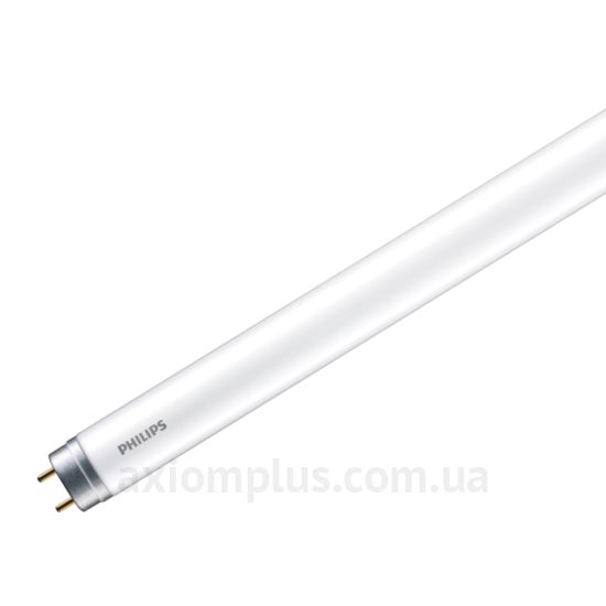 Philips T8 G13 16Вт 6500К 1600Лм