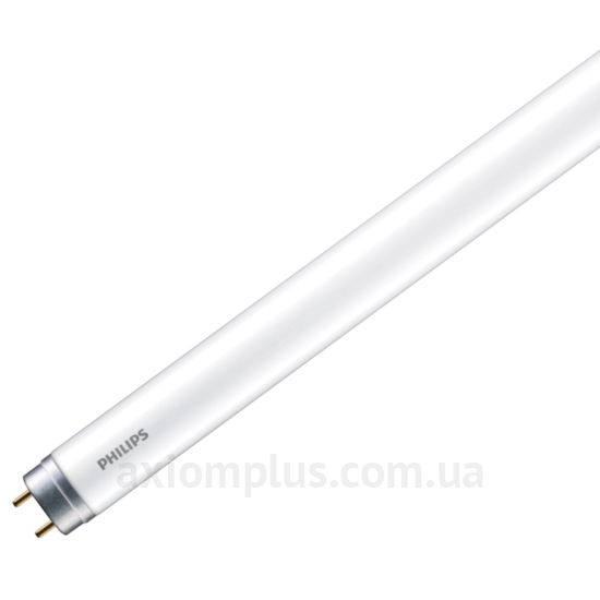 Philips T8 G13 8Вт 6500К 800Лм