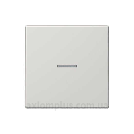 Фото Jung серії LS 990 LS990KO5LG світло-сірого кольору