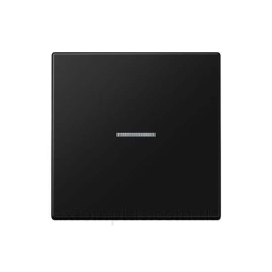 Фото Jung з серії LS 990 LS990KO5SWM чорного кольору