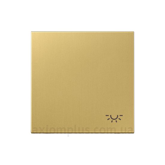 Зображення Jung серії LS 990 ME2990LC латунного кольору