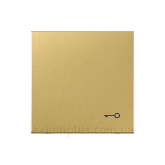 Фото Jung серії LS 990 ME2990TC латунного кольору