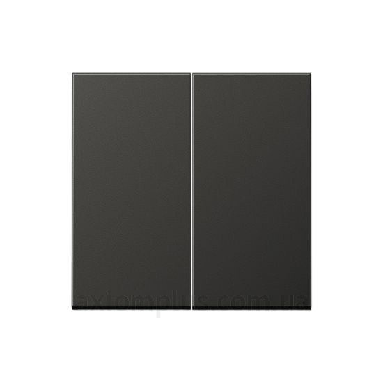 Фото Jung серії LS 990 AL2995AN антрацитового кольору