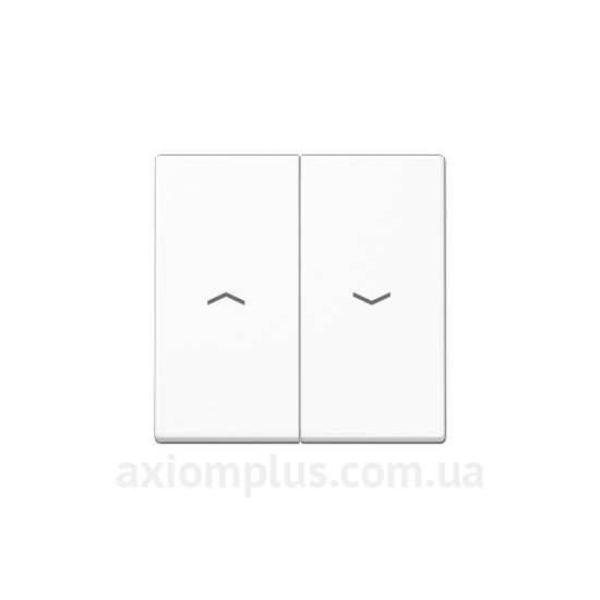 Фото Jung из серии A 550, A creation, A Flow, A Viva A595PWW белого цвета