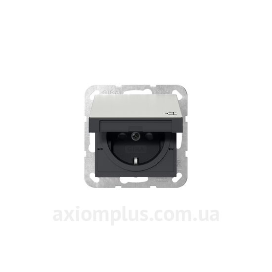 Изображение Gira серии Clear, E1, E2, E3, Esprit, Event, Linoleum-Multiplex, Opaque, Standard 55, Studio 4414600 стального цвета