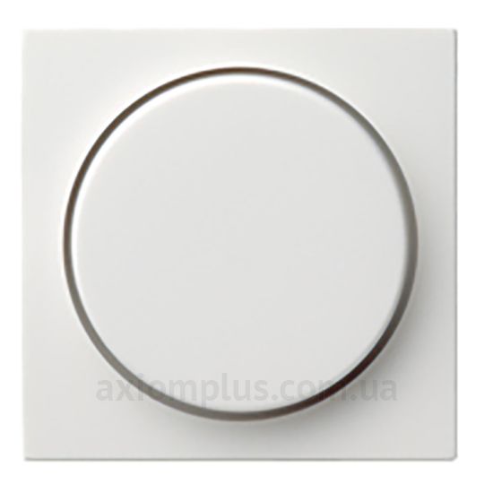 Изображение Gira серии Clear, E1, E2, E3, Esprit, Event, Linoleum-Multiplex, Opaque, Standard 55, Studio 065003 белого цвета