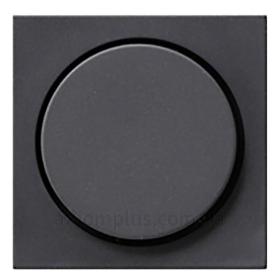Фото Gira из серии Clear, E1, E2, E3, Esprit, Event, Linoleum-Multiplex, Opaque, Standard 55, Studio 065028 цвета антрацит
