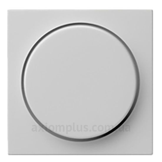 Фото Gira серии Clear, E1, E2, E3, Esprit, Event, Linoleum-Multiplex, Opaque, Standard 55, Studio 0650015 серого цвета