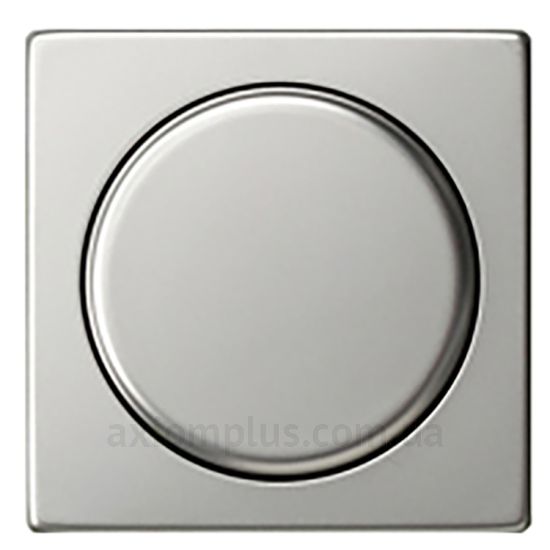 Изображение Gira из серии Clear, E1, E2, E3, Esprit, Event, Linoleum-Multiplex, Opaque, Standard 55, Studio 0650600 стального цвета