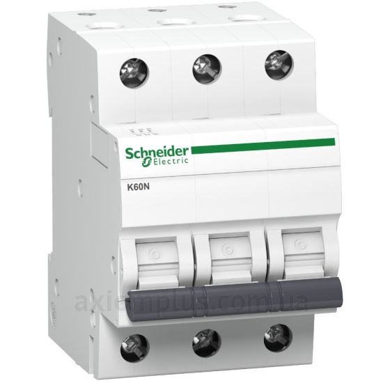 Фото Schneider Electric (A9K01325)