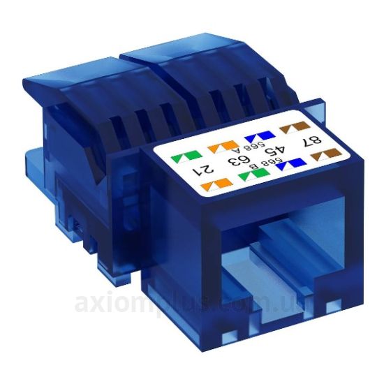 OBO Bettermann модуль UTP cat.6 RJ-45 (колір синій)