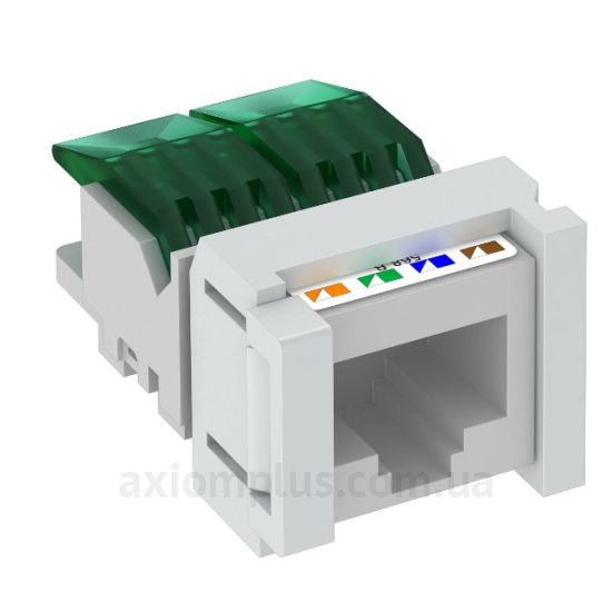 OBO Bettermann модуль UTP cat.5e RJ-45 (колір сірий)