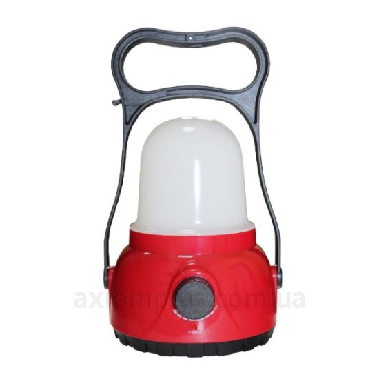 Фото TNSy (TNSy5001237)