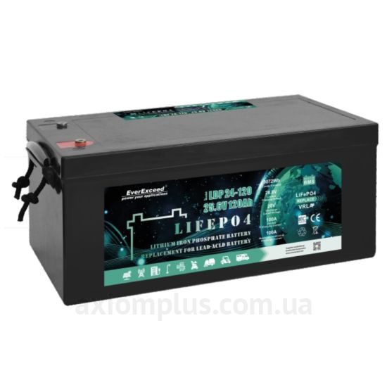 EverExceed LDP 24-100 (100А/год) фото