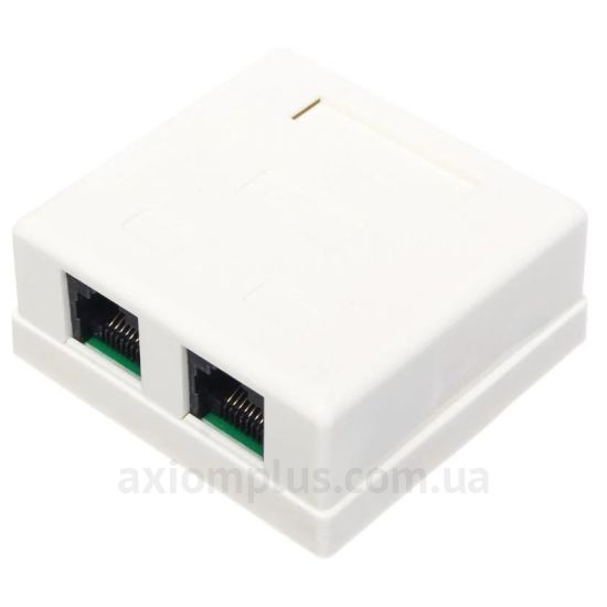 Зображення GEAR GCS-SOCKET2RJ45C5E білого кольору