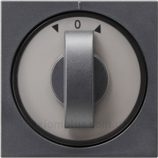 Фото Gira серии Clear, E1, E2, E3, Esprit, Event, Linoleum-Multiplex, Opaque, Standard 55, Studio 066628 цвета антрацит