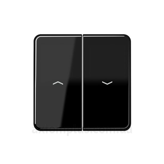 Изображение Jung серии CD 500 CD595PSW черного цвета