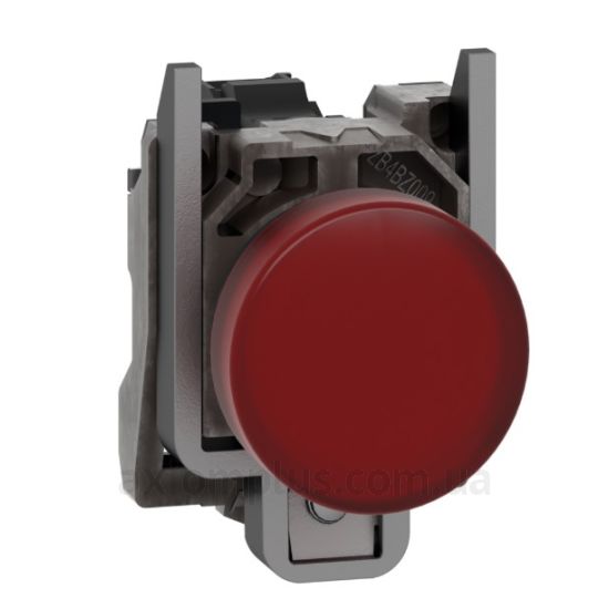 Фото Schneider Electric (XB4BVM4)