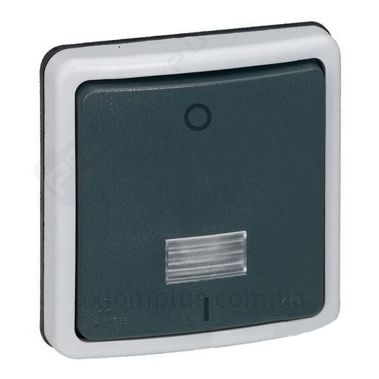 Зображення Legrand серії Plexo 90484 сірого кольору