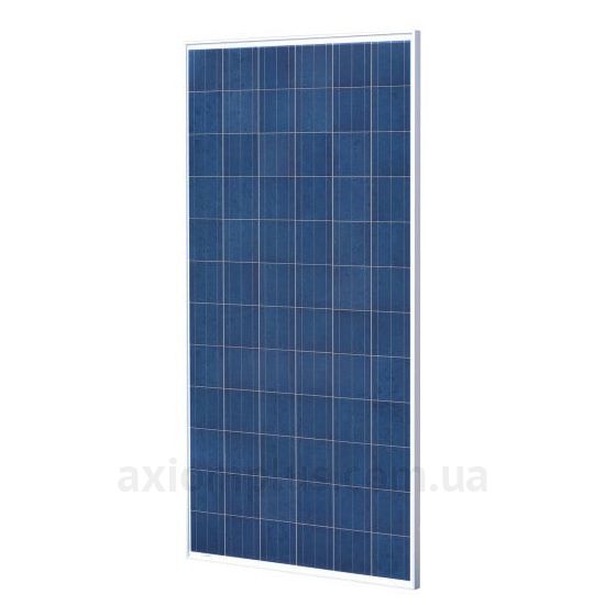 Изображение солнечной панели Perlight PLM-310P /4ВВ