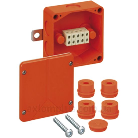 Зображення Spelsberg WKE 2-5x6? sp86050201 100мм×100мм глибина 50мм (IP54)