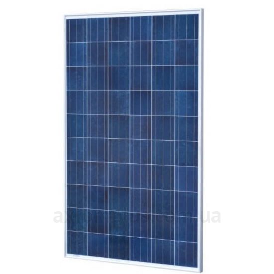 Фото сонячної панелі Leapton LP60-305M/PERC