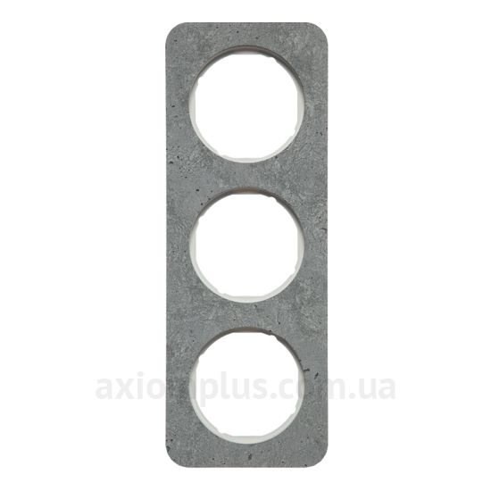Изображение Berker серии R.1 10132379 серого цвета