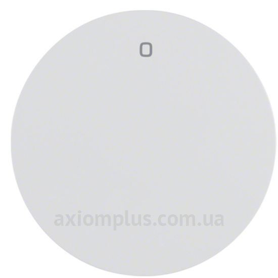Фото Berker из серии R.1, R.3, R.8 16222089 цвета полярной белизны