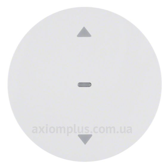 Фото Berker из серии R.1, R.3 85241139 цвета полярной белизны