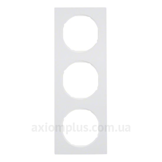 Фото Berker серии R.3 10132289 цвета полярной белизны