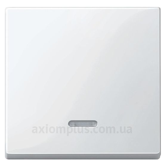 Фото Schneider Electric з серії Merten System M-Elegance MTN436019 полярно-білого кольору