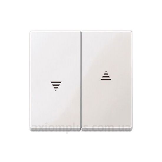 Зображення Schneider Electric з серії Merten System M-Elegance MTN432419 полярно-білого кольору