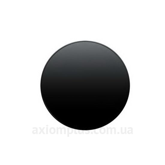 Фото Berker из серии R.1, R.3 11372045 черного цвета