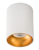 Светильник Down Light Kanlux Riti GU10 W/G (27570)