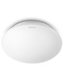 Светильник Philips 915004478401 33362 LED 16Вт 6500K White