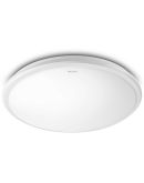 Светодиодный светильник Philips 915004488701 31816 LED 20Вт 2700K White