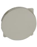 Заглушка Legrand Celiane (068443) (титан)