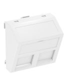 Кутовая накладка для супортов модуля OBO Bettermann 45х45 2x45 cat.6a белая (6119250)